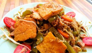 ENSALADA DE LENTEJAS ECOLÓGICAS CON TOFU Y BROTES